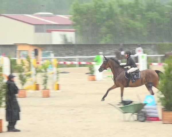Reitturnier Münsingen 2019