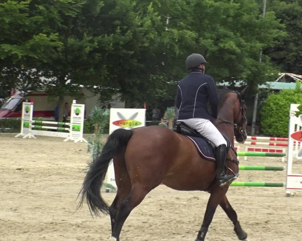 Reitturnier Bochum-Nord 2019