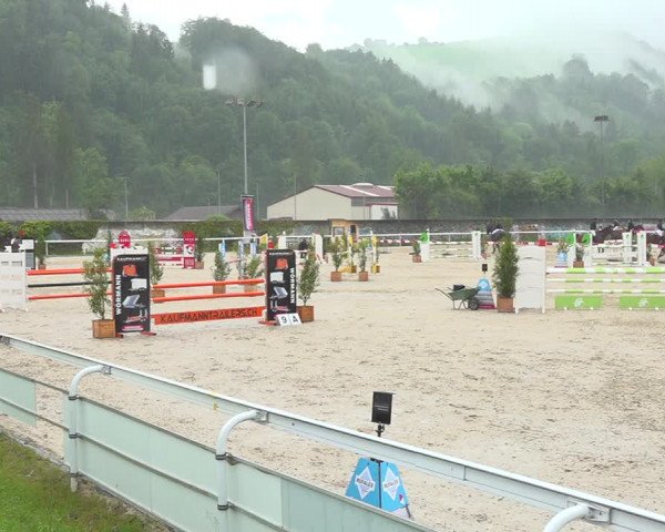 Reitturnier Münsingen 2019