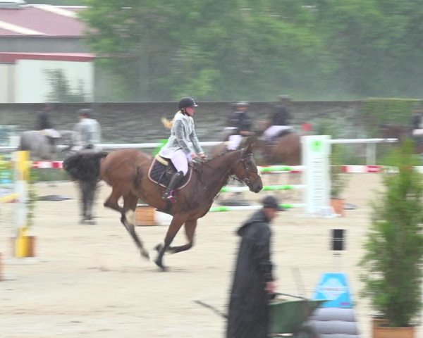 Reitturnier Münsingen 2019