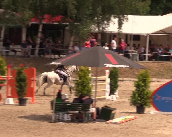 Reitturnier Lgl.-Oberhain, B95 2019