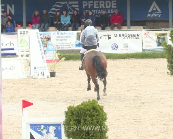 Reitturnier Plaffeien 2019