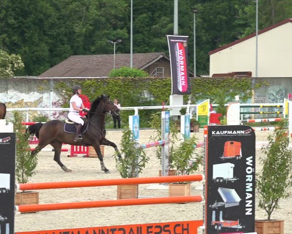 Reitturnier Münsingen 2019