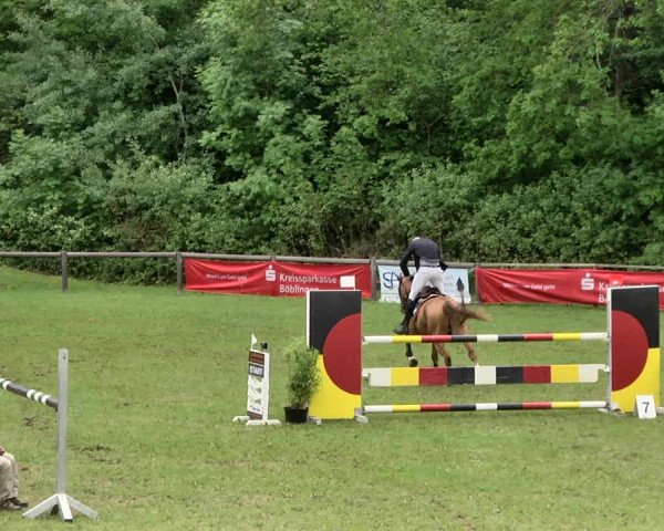 Reitturnier Jettingen 2019
