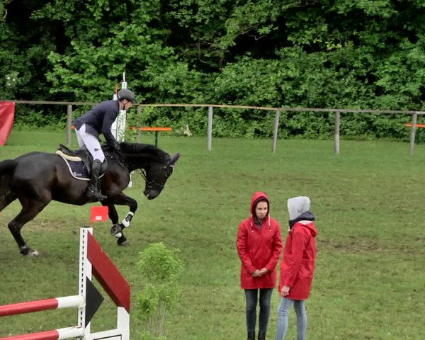 Reitturnier Jettingen 2019
