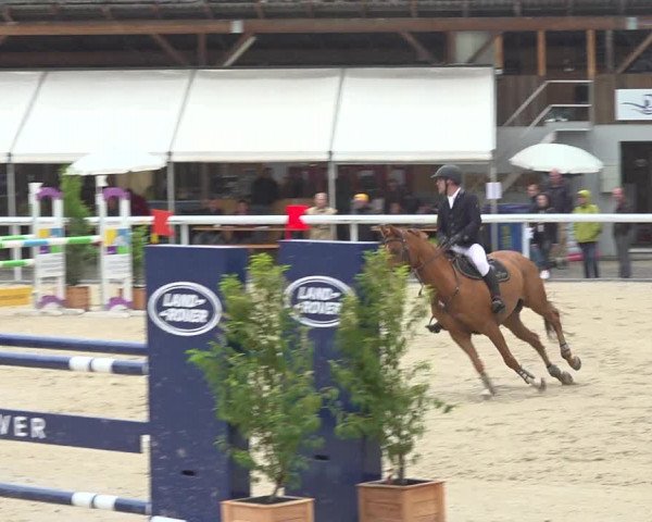 Reitturnier Münsingen 2019