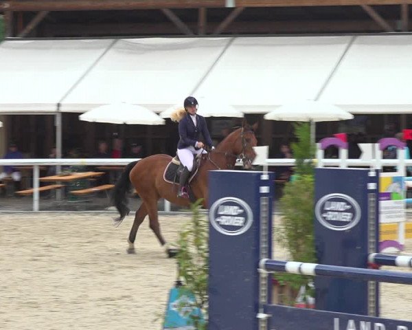 Reitturnier Münsingen 2019