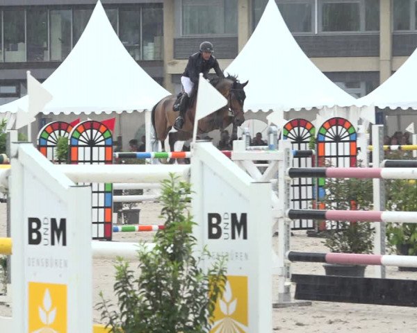 Reitturnier Zug 2019