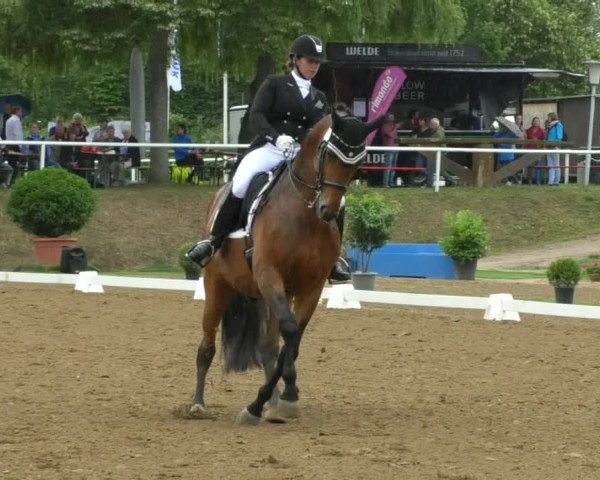 Reitturnier Nußloch 2019