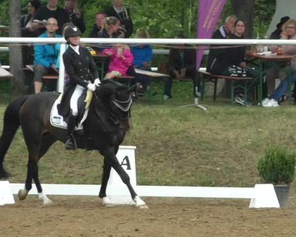 Reitturnier Nußloch 2019