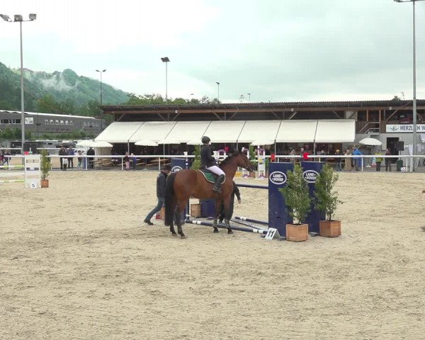 Reitturnier Münsingen 2019