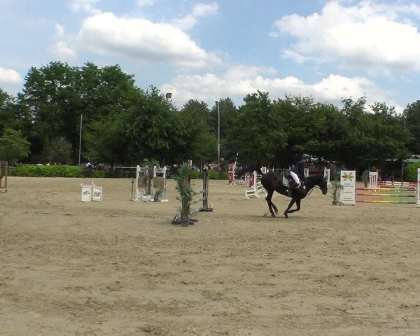 Reitturnier Bochum-Nord 2019
