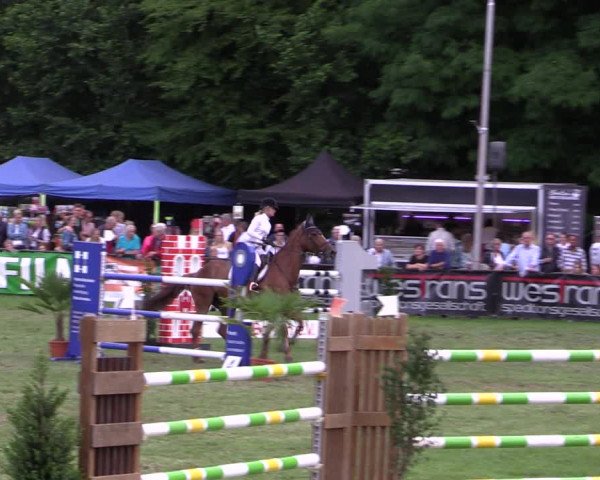 Reitturnier Borken 2019