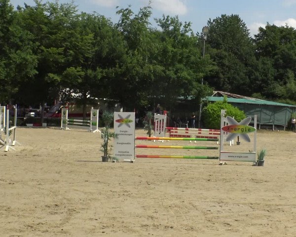 Reitturnier Bochum-Nord 2019