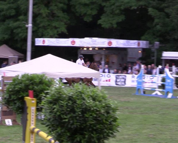 Reitturnier Borken 2019