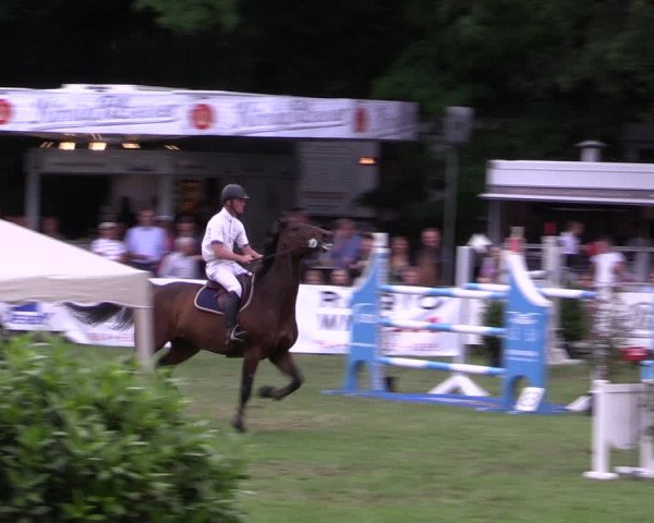 Reitturnier Borken 2019