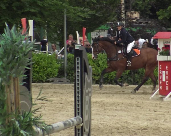 Reitturnier Bochum-Nord 2019