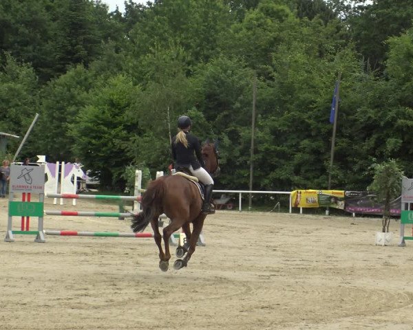 Reitturnier Bochum-Nord 2019