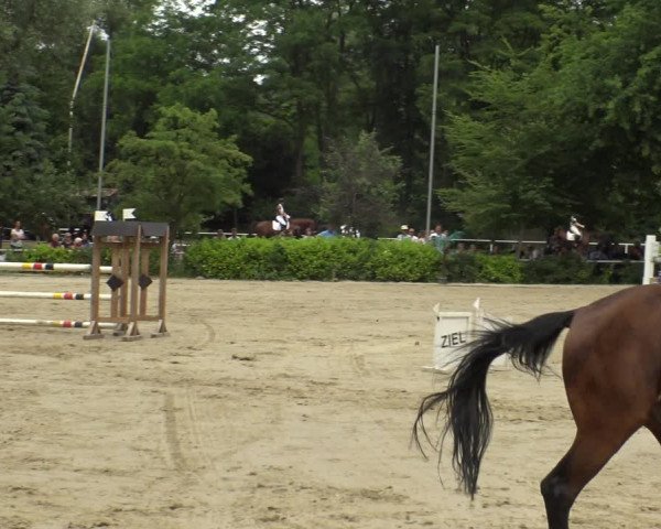 Reitturnier Bochum-Nord 2019