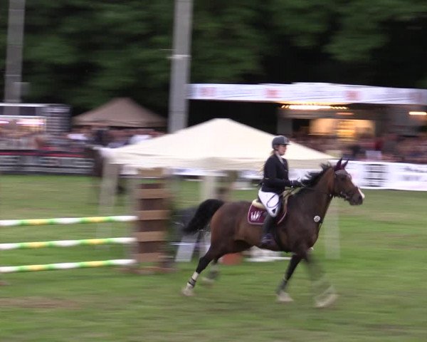 Reitturnier Borken 2019