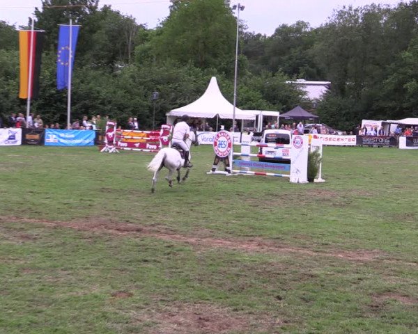 Reitturnier Borken 2019