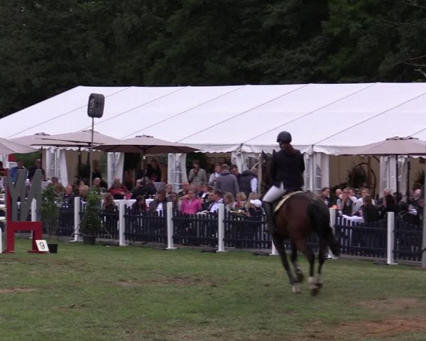 Reitturnier Borken 2019
