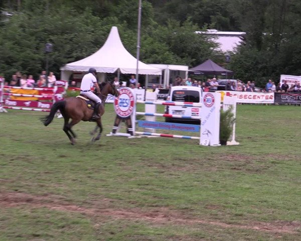 Reitturnier Borken 2019