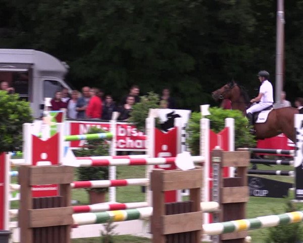 Reitturnier Borken 2019