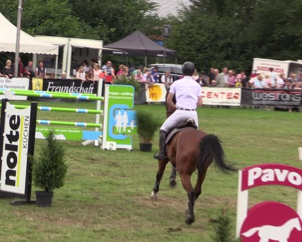 Reitturnier Borken 2019