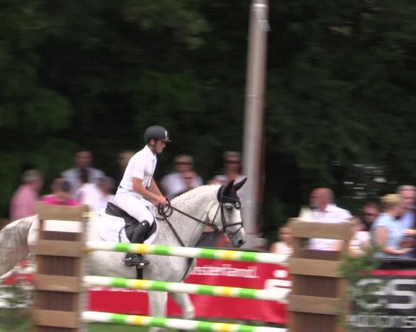 Reitturnier Borken 2019