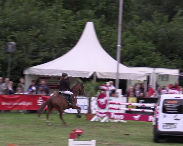 Reitturnier Borken 2019