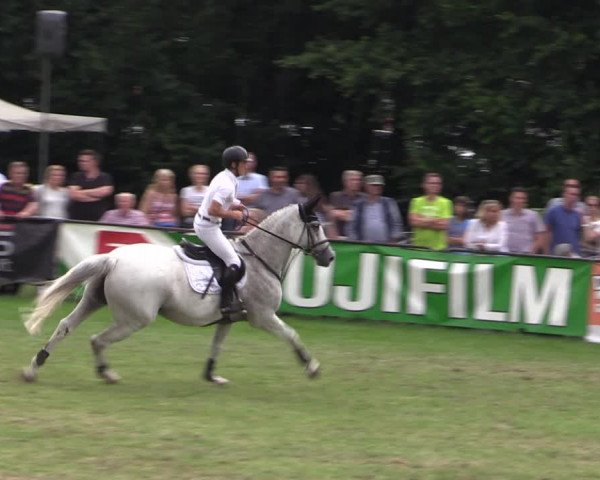 Reitturnier Borken 2019