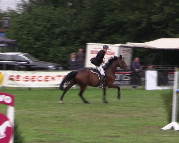 Reitturnier Borken 2019