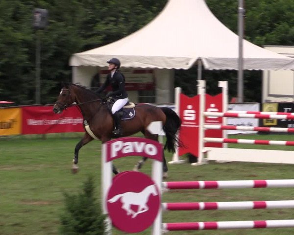 Reitturnier Borken 2019