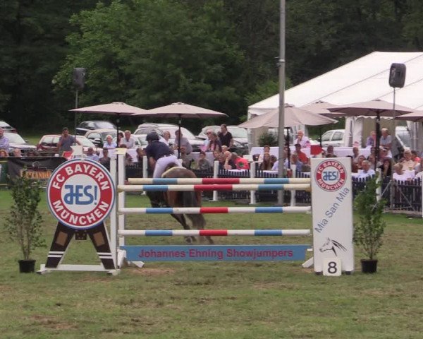 Reitturnier Borken 2019