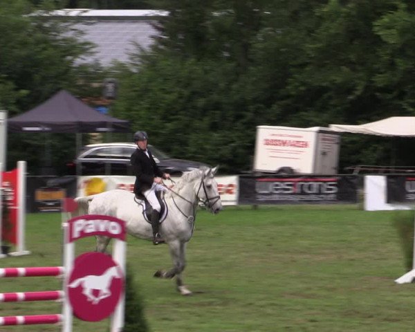 Reitturnier Borken 2019