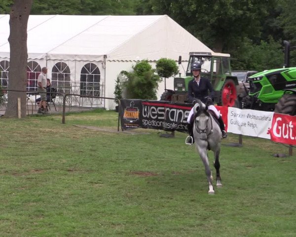 Reitturnier Borken 2019
