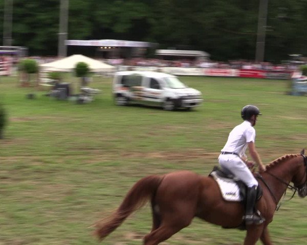Reitturnier Borken 2019