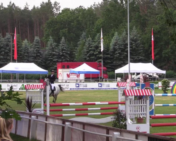 Reitturnier Cottbus-Sielow 2019
