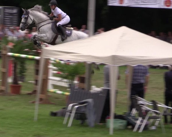 Reitturnier Borken 2019