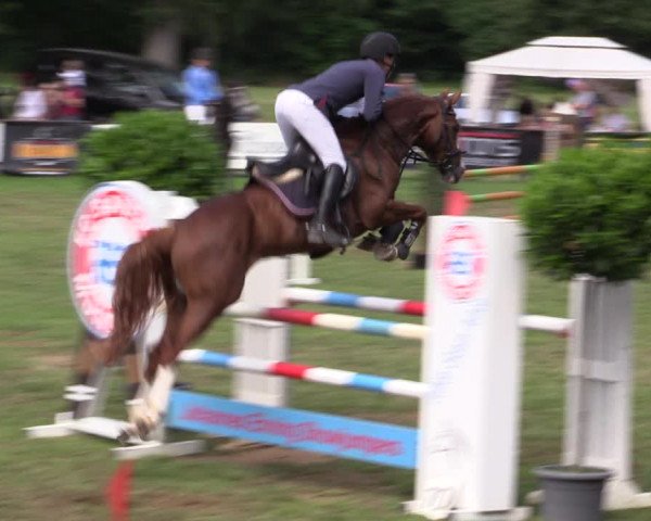 Reitturnier Borken 2019