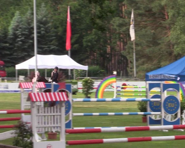 Reitturnier Cottbus-Sielow 2019