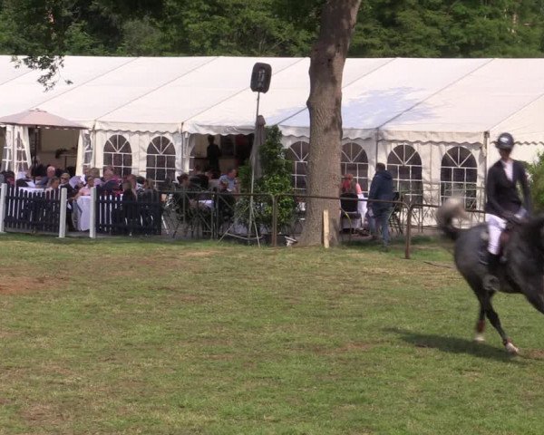 Reitturnier Borken 2019