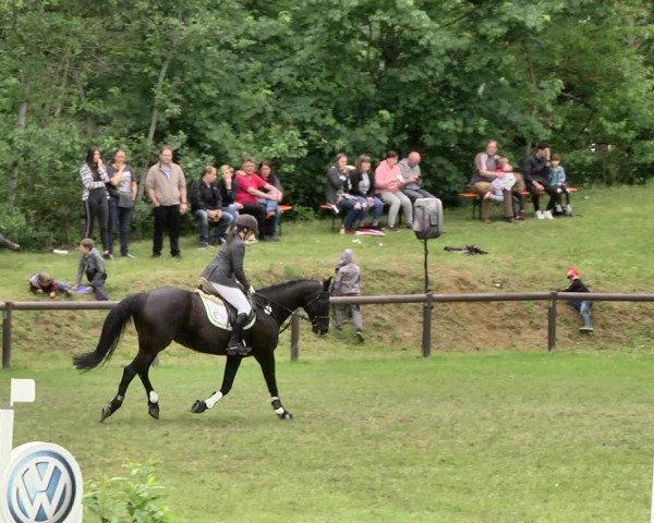 Reitturnier Jettingen 2019