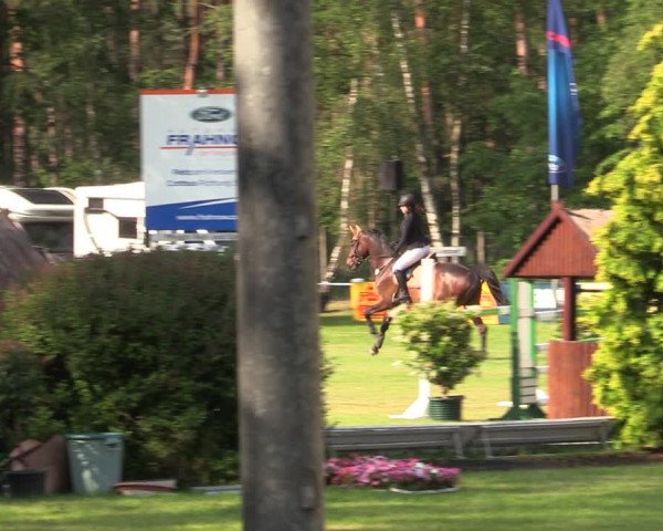 Reitturnier Cottbus-Sielow 2019