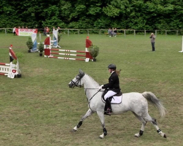 Reitturnier Jettingen 2019
