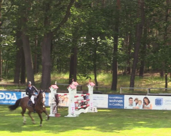 Reitturnier Cottbus-Sielow 2019