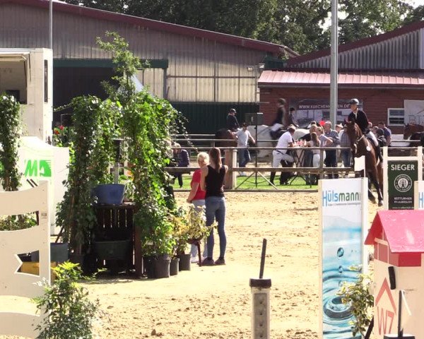 Reit- und Springturnier Albersloh 2021