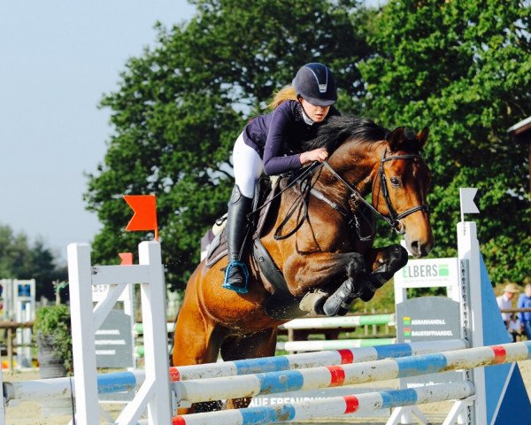 jumper Sir Henry (Oldenburg, 2006, from Stalypso)