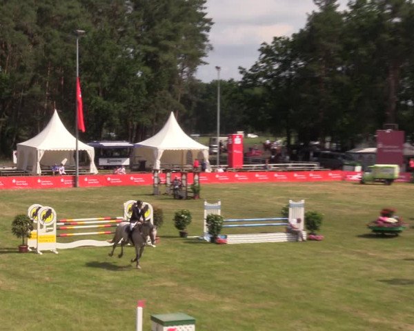 Reitturnier Cottbus-Sielow 2019